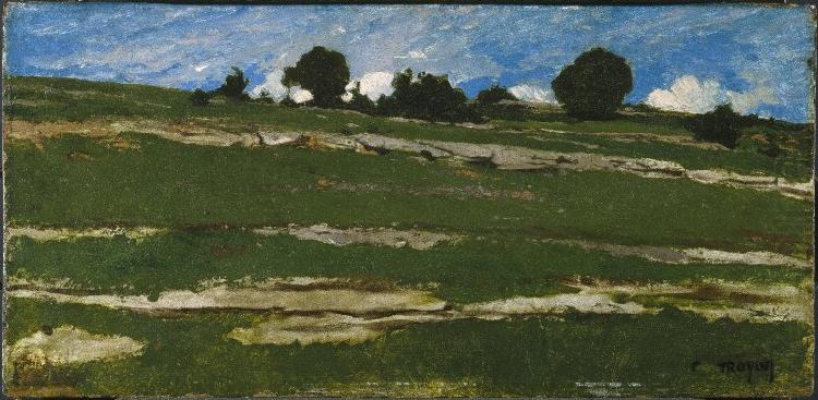 Hillside with Rocky Outcrops, constant troyon